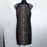 Katherine Kelly animal print mesh dress Black Size 6 Photo 4