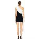 L'Academie  by Marianna Jovie Mini Dress in Black & Ivory Photo 3