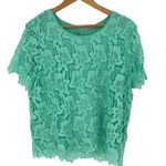 Philosophy Womens Crewneck Scalloped Lace Overlay Top Seafom Green Size XL Photo 0
