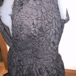 Tobi Floral Lace Dress Photo 3