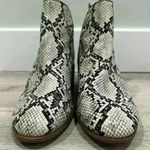 Dr. Scholls Dr. Scholl’s Amara Faux Snakeskin Ankle Boots Slip On Booties 2.5” Heel Size 6.5 Photo 1