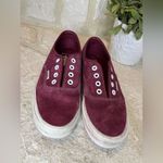 Vans Burgundy suede low top sneaker sz 7.5 Photo 5