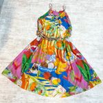 Farm Rio  Womens Large Cotton Summer Picnic Sleeveless V-neck Midi Dress Vacation Photo 0