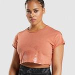Gymshark x KK Fit Collab KK Twins Raw Crop Top earth Orange raw hem size XS Photo 0