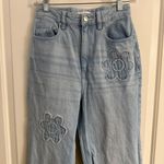 Pac Sun size 26 Light Blue Embroidered Women's Jeans Photo 1