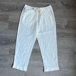 Aritzia NEW Wilfred linen blend Allant Pants Photo 1