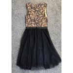 Venus  Women’s Black & Tan Formal, Party, Cocktail Mini Dress With Lace. Sz 2 Photo 5