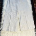 Banana Republic  Black and White Striped Wide Leg Linen Pants Photo 1