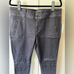 Pilcro and the Letterpress  Anthropologie NWT Women's Gray Skinny Pants-Size‎ 32 Photo 2