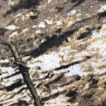 Field & Stream  XL L/S Camouflage V-Neck Top Photo 3