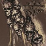 Harley Davidson 2010  Brown Flaming Skulls Shirt Photo 4