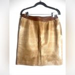Carlisle  Tan Leather Skirt Photo 8