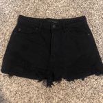 KanCan USA Black Shorts Photo 0