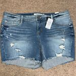 Torrid Midi Jean Short Distressed Denim Embroidered Rainbow Pride Blue 16 Photo 3