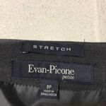 Evan Picone  Buckingham Slate Heat Skirt Size 8 Petite Photo 4