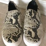 Steve Madden Snakeskin Sneakers  Photo 0