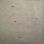 Haoduoyi  Womens Guns N Roses Graphic T Shirt Distressed Style Medium Photo 4