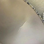 Laura Ashley 🆕 Floral Print 42D Bra🆕 Photo 7