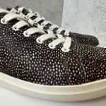 Tory Burch Howell Court Classic Sneakers Size 8 Women Photo 2