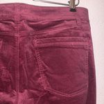 White House | Black Market Red Velour Straight Leg Pants Photo 6