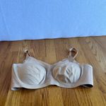 Honey Love V Photo 14