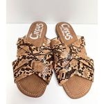 Circus by Sam Edelman Snake Print Criss Cross Slides Sandals Size 6 Photo 1