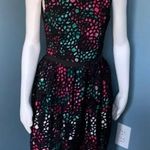 Anthropologie Wolven Terrace Sheath Lace Dress Photo 0