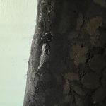 Tahari Black Lace Dress – Size 10 – Elegant & Timeless Photo 3