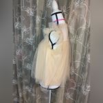 Storia  Beige Polka Dot Tulle Blouse Photo 4