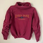 Vintage Iced for Action Estes Park Colorado Sweatshirt Size M Photo 0