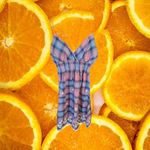 She's Cool Pink, Blue and Black Dress with White Embroidered‎ Flowers Size 2X Green Photo 3