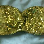 Charlotte Russe Sparkly  bandeau/bra Photo 0