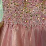 Angela and Alison Pink Ball gown Photo 10