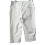 Madewell NWT  Tile White The Perfect Vintage Wide Leg Crop Jeans Size 33 Petite Photo 4