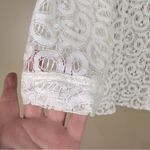 Erin London Cream Lace 3/4 Sleeve Button Up Shirt Blouse Medium Coastal Cowgirl Photo 3