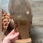 Beast Fashion  Leopard Print Heeled Mules 8 Photo 3