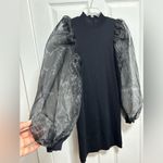 Lea & Viola  Black Dress with Sheer Sleeves Photo 3