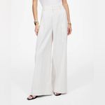 Madewell Superwide-Leg Trouser in Pinstripe Linen Blend Harlow Pants NWT Size 0 Photo 10