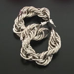 🆕️Elegant Silver Twisted Hoop Earrings Photo 0