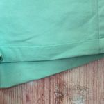 American Eagle Mint Green Midi Stretch Chino Shorts Photo 3