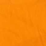 Disney  Cruise Line Original Castaway Cay T-Shirt Photo 1