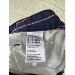 American Eagle Hi Rise Mini Denim Skirt Red Blue Stripes Raw Hem Size 14 Photo 3