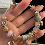 Pandora Bracelet (17 Charms) Photo 4