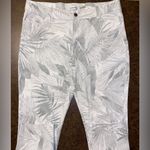 Calvin Klein Tropical Leaves Cotton Twill Pants Gray - size 12 Photo 2
