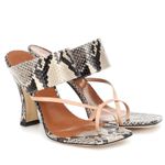 Paris Texas Python Snake Photo 0