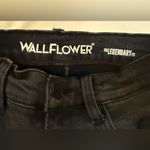 Wallflower Photo 4