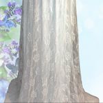 Gorgeous simply stated white lace wedding dress! Nwot White Size XL Photo 7