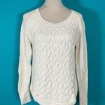Max Studio  Cream  100% Cotton Cable Knit Raglan Pullover Sweater Cabin Size M Photo 0