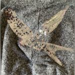 H&M Women’s Gray Sweater with Silver Sequin Bird Design Accents Photo 2