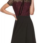 Elle Lace Mixed Media Illusion Fit & Flare Dress Sz 14 Dark Academia Photo 0